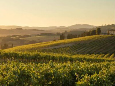 Gdzie dodać bezpłatnie Ogłoszenia Nieruchomości Rolnych?